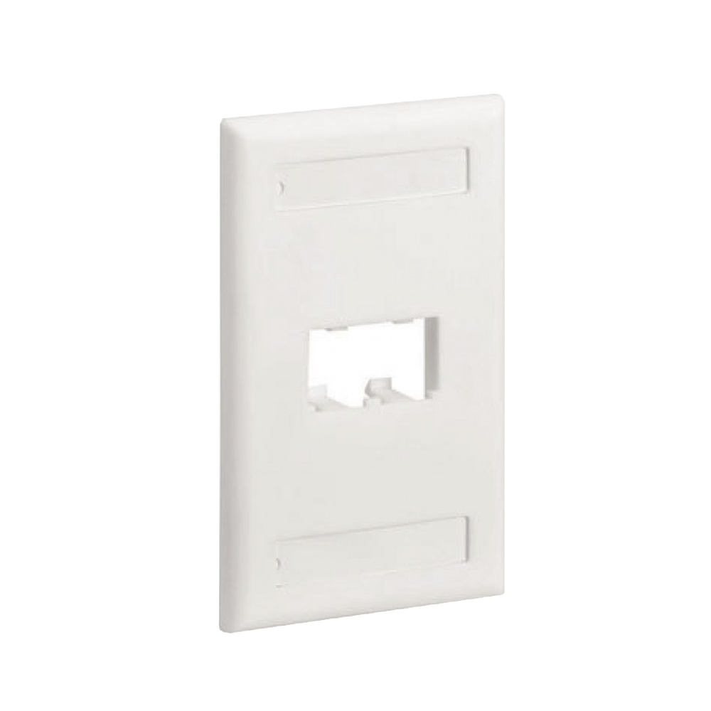 Placa de Pared Vertical Cl?sica, Salida Para 2 Puertos Mini-Com, Con Espacios Para Etiquetas, Color Blanco
