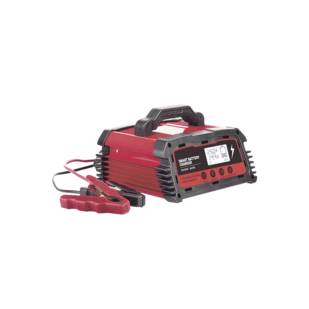 Cargador de Baterías / 12 o 24 Vcc / hasta 250 Ah / 25 A / Display LCD