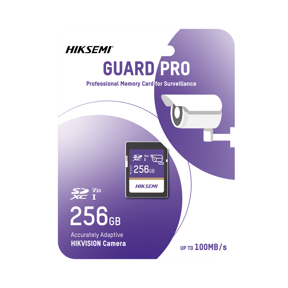 Memoria SD Clase 10 de 256 GB / Especializada Para Videovigilancia - Image 2