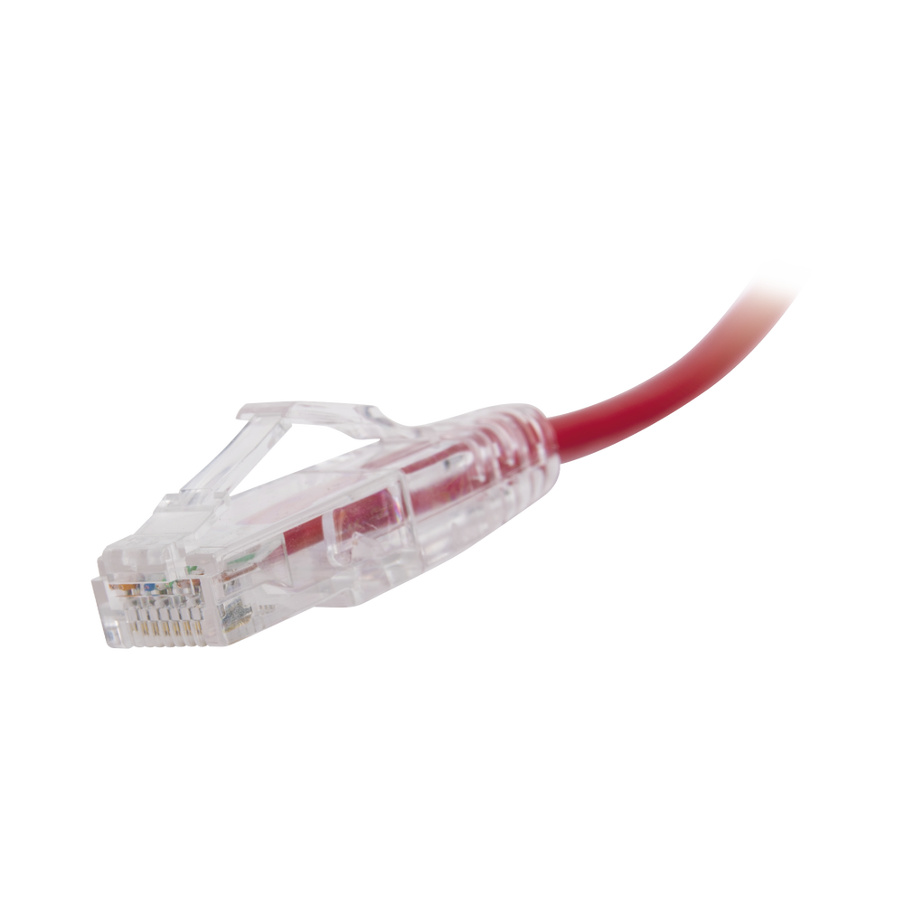 Cable de Parcheo Slim UTP Cat6 - 30 cm (11.81 Pulgadas) Rojo Di?metro Reducido (28 AWG) - Image 2