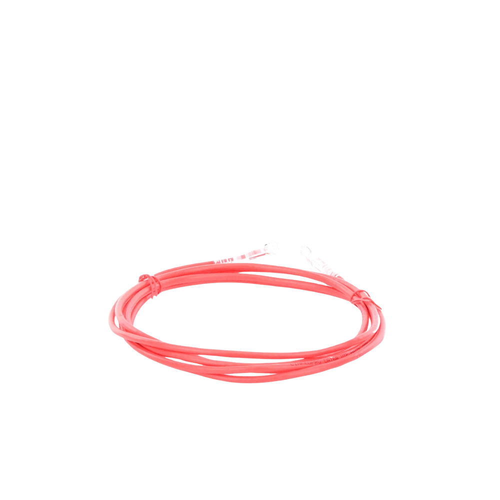 Cable de Parcheo Slim UTP Cat6A - 2 Metros (6.56 Pies) Rojo, Di?metro Reducido (28 AWG) - Image 2