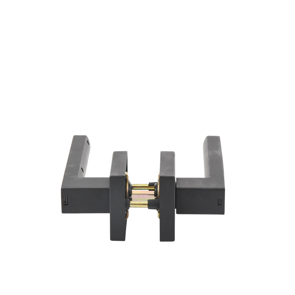 Manija Castelli Biométrica/ Acabado Negro / 30 usuarios/Para Puerta Izq o Derecha de 60-70mm - Image 3