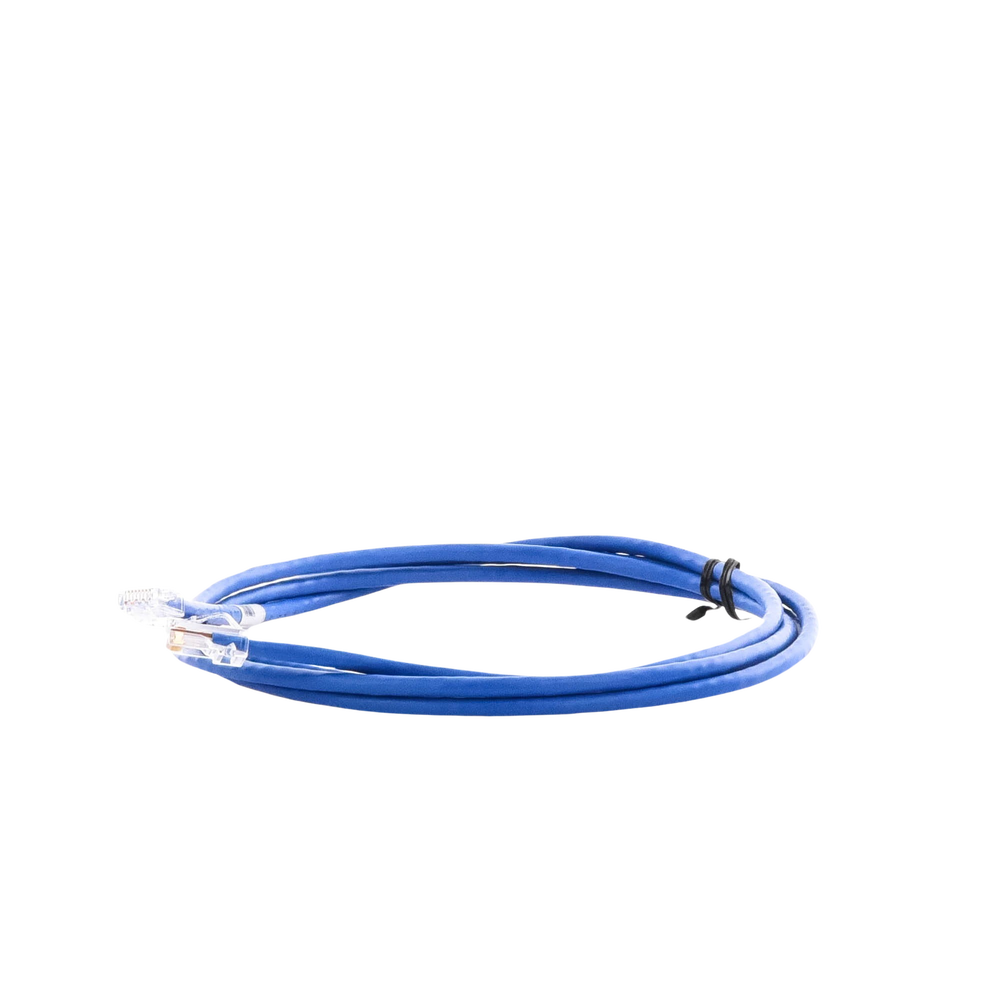 Cable de Parcheo UTP Categor?a 5e, con Plug Modular en Cada Extremo - 2 Metros (6.56 Pies) - Azul - Image 3