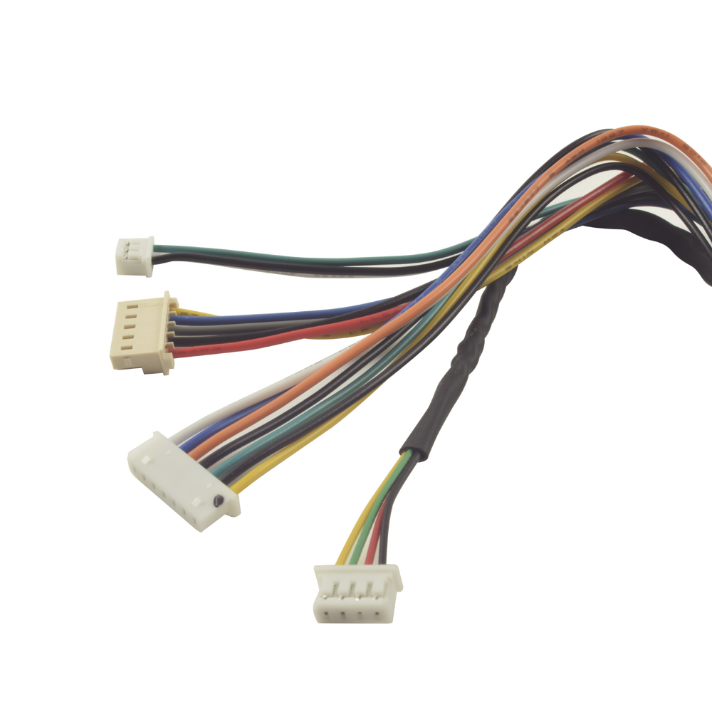 Juego de cables de conexion para Bioentry plus - Image 2