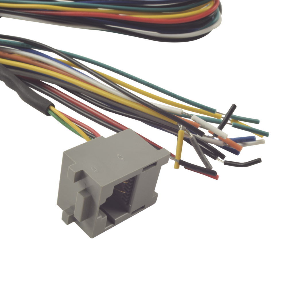 Juego de cables de conexion para Bioentry plus - Image 3