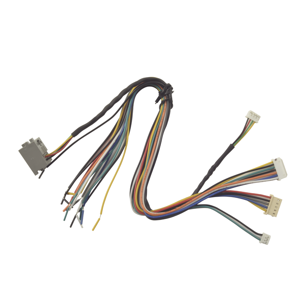 Juego de cables de conexion para Bioentry  plus