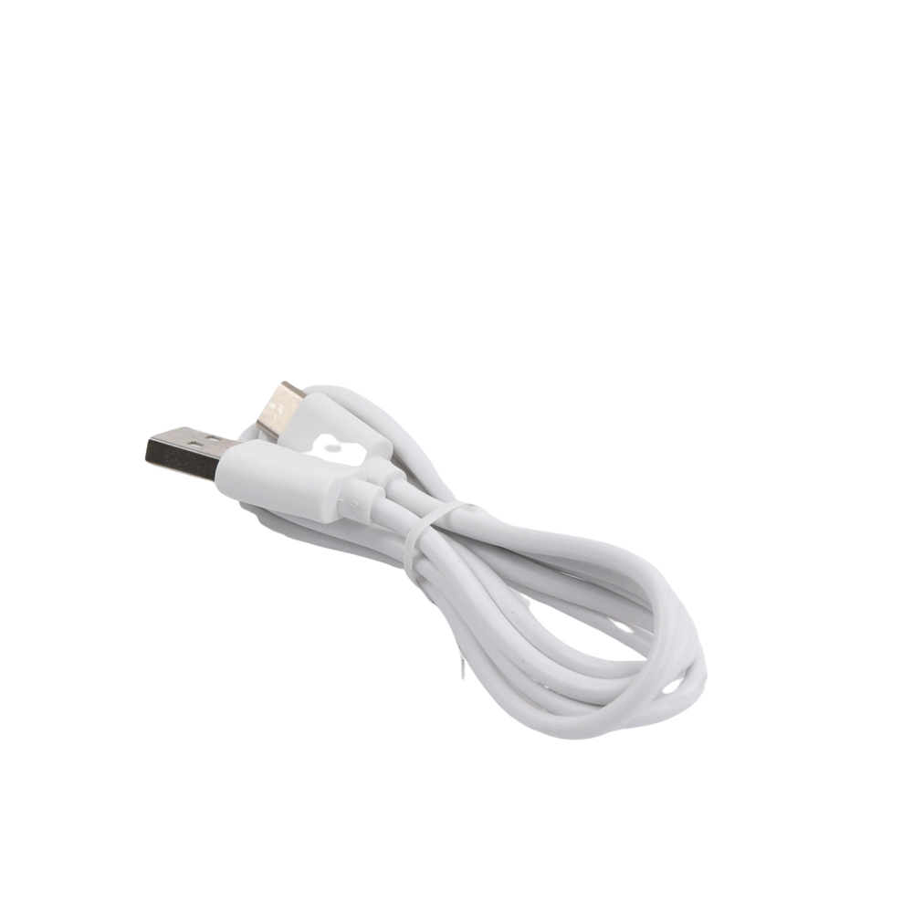 Cable USB a USB Tipo C de 1 m - Image 2