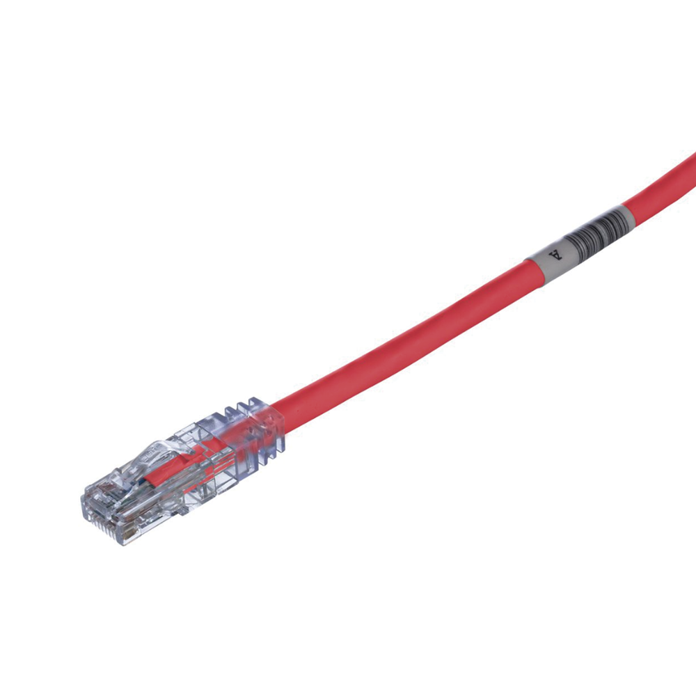 Cable de Parcheo TX6, UTP Cat6, 24 AWG, CM, Color Rojo, 4.57 Metros (15 Pies) - Image 2